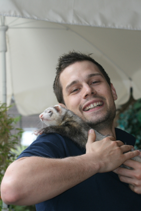 I'm the creator of Ferrets as Pets, and was inspired by my love of my pet